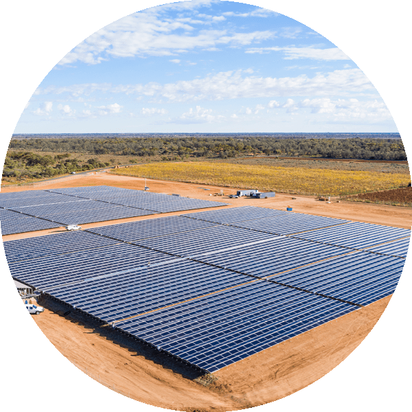 Dareton solar park diamond energy