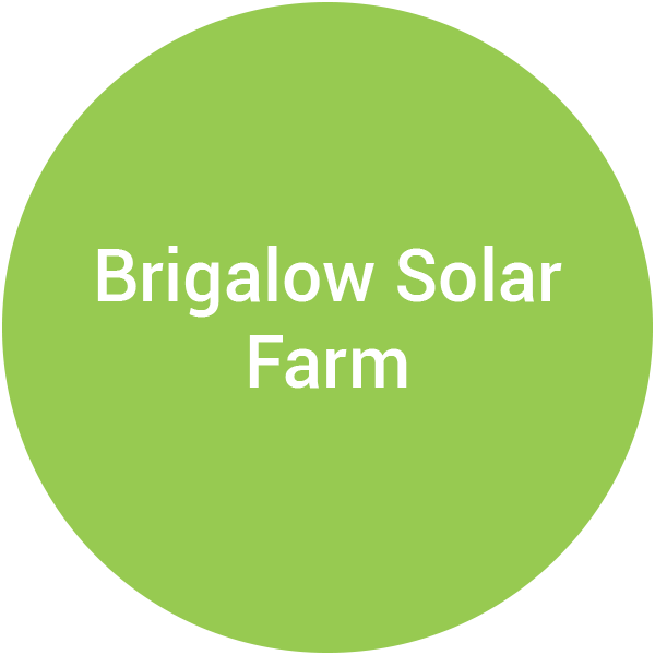 Brigalow Solar Farm